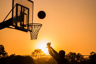 九游jiuyou-扣篮最多的球员谁是飞天巨星，nba扣篮最多的球员