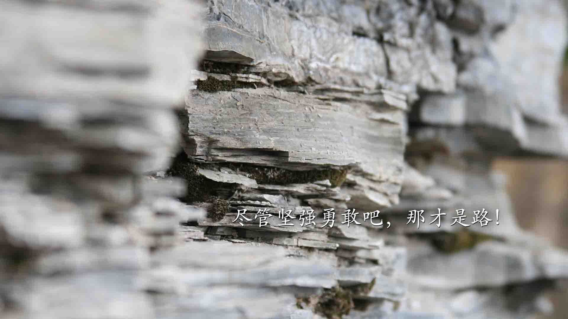 九游网页版官网-无球移动空间感强的球员技术特征，无球卡位可以移动吗