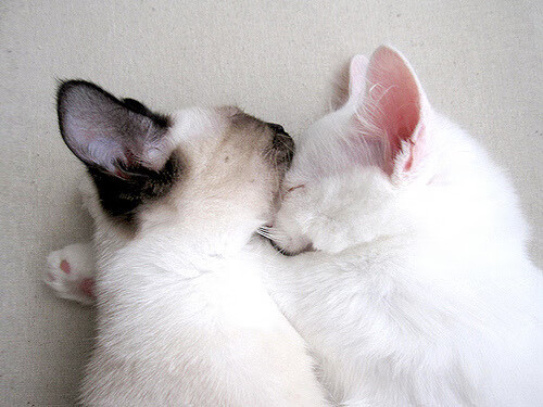 九游登录中心-青少年足球讲座火热举行，培养运动兴趣，青少年足球讲座火热举行,培养运动兴趣