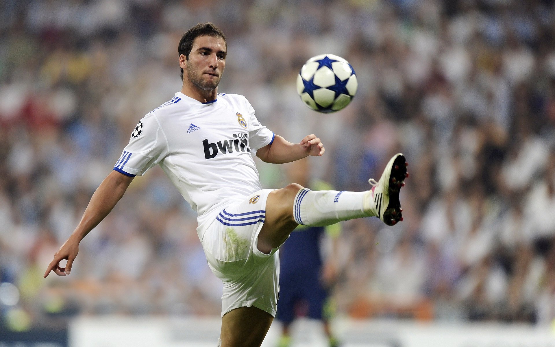 【现场互动】观众投票支持最精彩的击球瞬间,比赛现场投票